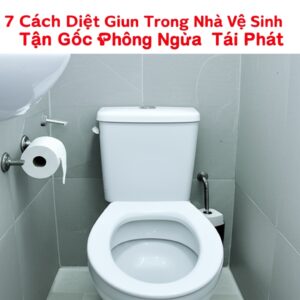 7 Cách Diệt Giun Trong Nhà Vệ Sinh Tận Gốc & Phòng Ngừa Tái Phát