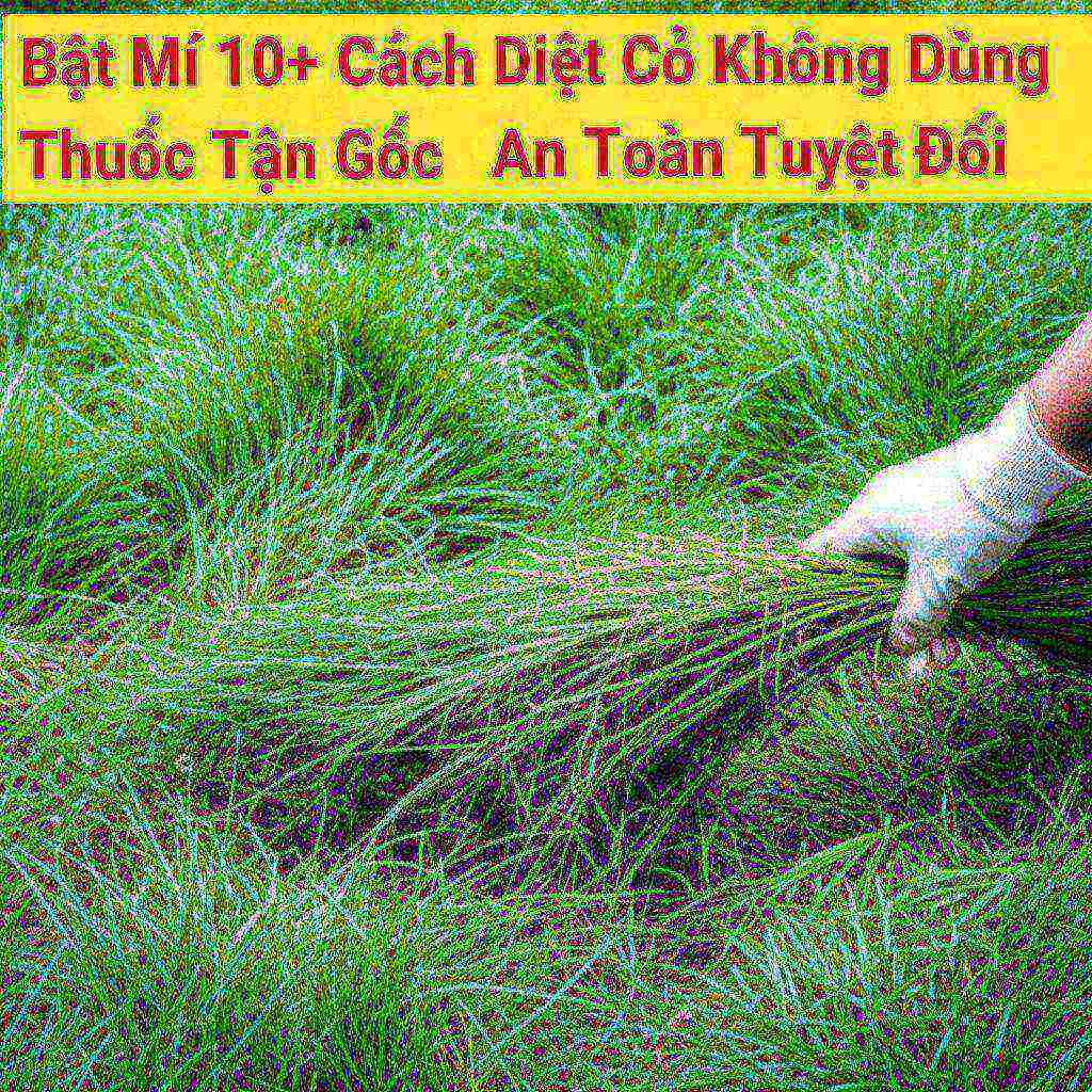 Hình minh họa cho bài viết: Bật Mí 10+ Cách Diệt Cỏ Không Dùng Thuốc Tận Gốc, An Toàn Tuyệt Đối