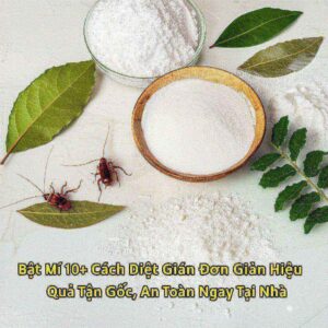 Bật Mí 10+ Cách Diệt Gián Đơn Giản Hiệu Quả Tận Gốc, An Toàn Ngay Tại Nhà