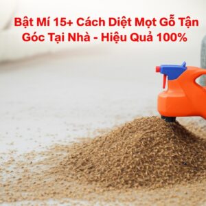 Bật Mí 15+ Cách Diệt Mọt Gỗ Tận Gốc Tại Nhà – Hiệu Quả 100%