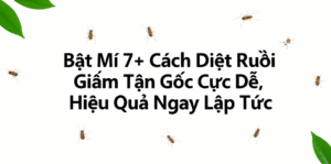 Bật Mí 7+ Cách Diệt Ruồi Giấm Tận Gốc Cực Dễ, Hiệu Quả Ngay Lập Tức