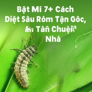 Bật Mí 7+ Cách Diệt Sâu Róm Tận Gốc, An Toàn Tại Nhà Từ Chuyên Gia