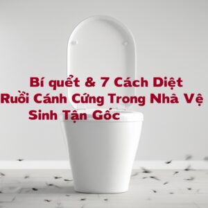 Bí quyết & 7 Cách Diệt Ruồi Cánh Cứng Trong Nhà Vệ Sinh Tận Gốc, An Toàn