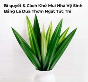Bí quyết & Cách Khử Mùi Nhà Vệ Sinh Bằng Lá Dứa Thơm Ngát Tức Thì