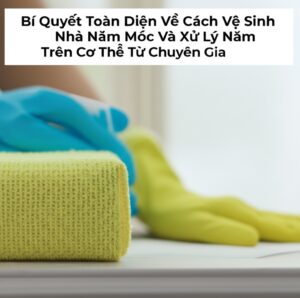 Bí Quyết Toàn Diện Về Cách Vệ Sinh Nhà Nấm Mốc Và Xử Lý Nấm Trên Cơ Thể Từ Chuyên Gia