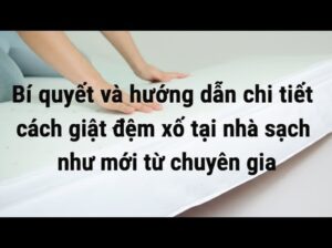 Bí quyết và hướng dẫn chi tiết cách giặt đệm xốp tại nhà sạch như mới từ chuyên gia