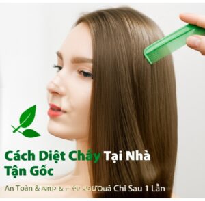 Cách Diệt Chấy Tại Nhà Tận Gốc, An Toàn & Hiệu Quả Chỉ Sau 1 Lần