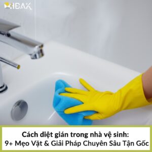 Cách diệt gián trong nhà vệ sinh: 9+ Mẹo Vặt & Giải Pháp Chuyên Sâu Tận Gốc