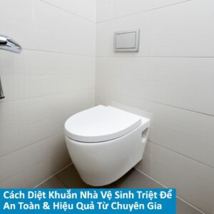 Cách Diệt Khuẩn Nhà Vệ Sinh Triệt Để, An Toàn & Hiệu Quả Từ Chuyên Gia