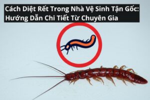 Cách Diệt Rết Trong Nhà Vệ Sinh Tận Gốc: Hướng Dẫn Chi Tiết Từ Chuyên Gia