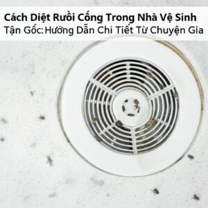 Cách Diệt Ruồi Cống Trong Nhà Vệ Sinh Tận Gốc: Hướng Dẫn Chi Tiết Từ Chuyên Gia