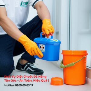 Dịch Vụ Diệt Chuột Đà Nẵng Tận Gốc – An Toàn, Hiệu Quả | Hotline 0969 69 83 19