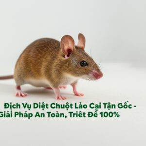 Dịch Vụ Diệt Chuột Lào Cai Tận Gốc – Giải Pháp An Toàn, Triệt Để 100%