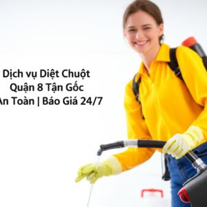 Dịch vụ Diệt Chuột Quận 8 Tận Gốc, An Toàn | Báo Giá 24/7