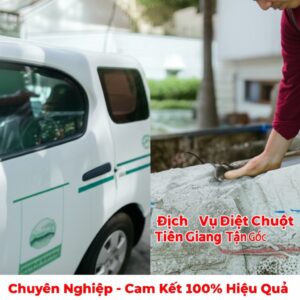 Dịch Vụ Diệt Chuột Tiền Giang Tận Gốc, Chuyên Nghiệp – Cam Kết 100% Hiệu Quả