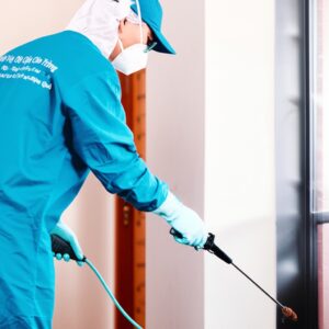 Dịch Vụ Diệt Côn Trùng Bà Rịa – Vũng Tàu Tận Gốc | An Toàn & Hiệu Quả