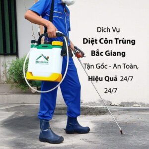 Dịch Vụ Diệt Côn Trùng Bắc Giang Tận Gốc – An Toàn, Hiệu Quả 24/7