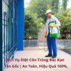 Dịch Vụ Diệt Côn Trùng Bắc Kạn Tận Gốc | An Toàn, Hiệu Quả 100%