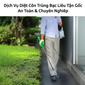 Dịch Vụ Diệt Côn Trùng Bạc Liêu Tận Gốc, An Toàn & Chuyên Nghiệp