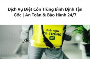 Dịch Vụ Diệt Côn Trùng Bình Định Tận Gốc | An Toàn & Bảo Hành 24/7