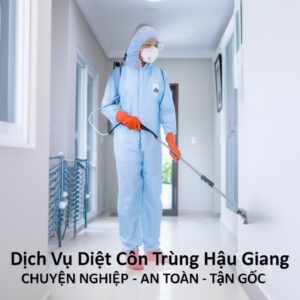 Dịch Vụ Diệt Côn Trùng Hậu Giang Chuyên Nghiệp – An Toàn – Tận Gốc