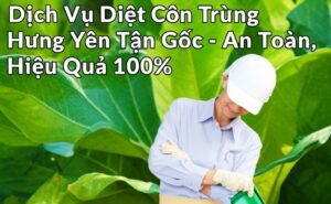 Dịch Vụ Diệt Côn Trùng Hưng Yên Tận Gốc – An Toàn, Hiệu Quả 100%