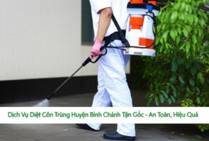 Dịch Vụ Diệt Côn Trùng Huyện Bình Chánh Tận Gốc – An Toàn, Hiệu Quả