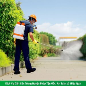 Dịch Vụ Diệt Côn Trùng Huyện Củ Chi: Giải Pháp Tận Gốc, An Toàn và Hiệu Quả