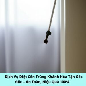 Dịch Vụ Diệt Côn Trùng Khánh Hòa Tận Gốc – An Toàn, Hiệu Quả 100%