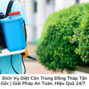 Dịch Vụ Diệt Côn Trùng Đồng Tháp Tận Gốc | Giải Pháp An Toàn, Hiệu Quả 24/7