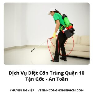 Dịch Vụ Diệt Côn Trùng Quận 10 Tận Gốc – An Toàn, Chuyên Nghiệp | VESINHCONGNGHIEPHCM.COM