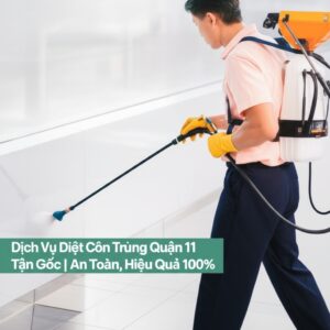 Dịch Vụ Diệt Côn Trùng Quận 11 Tận Gốc | An Toàn, Hiệu Quả 100%