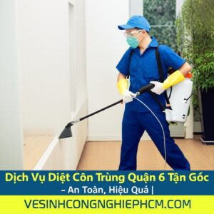 Dịch Vụ Diệt Côn Trùng Quận 6 Tận Gốc – An Toàn, Hiệu Quả | VESINHCONGNGHIEPHCM.COM