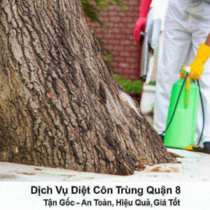 Dịch Vụ Diệt Côn Trùng Quận 8 Tận Gốc – An Toàn, Hiệu Quả, Giá Tốt