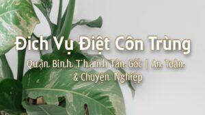 Dịch Vụ Diệt Côn Trùng Quận Bình Thạnh Tận Gốc | An Toàn & Chuyên Nghiệp