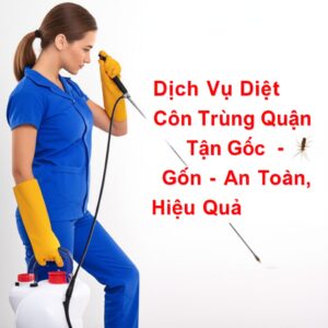Dịch Vụ Diệt Côn Trùng Quận Tân Bình Tận Gốc – An Toàn, Hiệu Quả