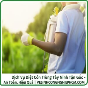 Dịch Vụ Diệt Côn Trùng Tây Ninh Tận Gốc – An Toàn, Hiệu Quả | VESINHCONGNGHIEPHCM.COM
