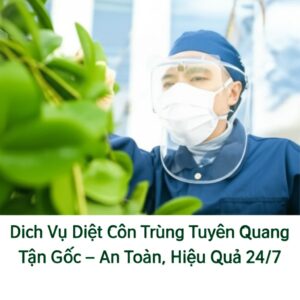 Dịch Vụ Diệt Côn Trùng Tuyên Quang Tận Gốc – An Toàn, Hiệu Quả 24/7