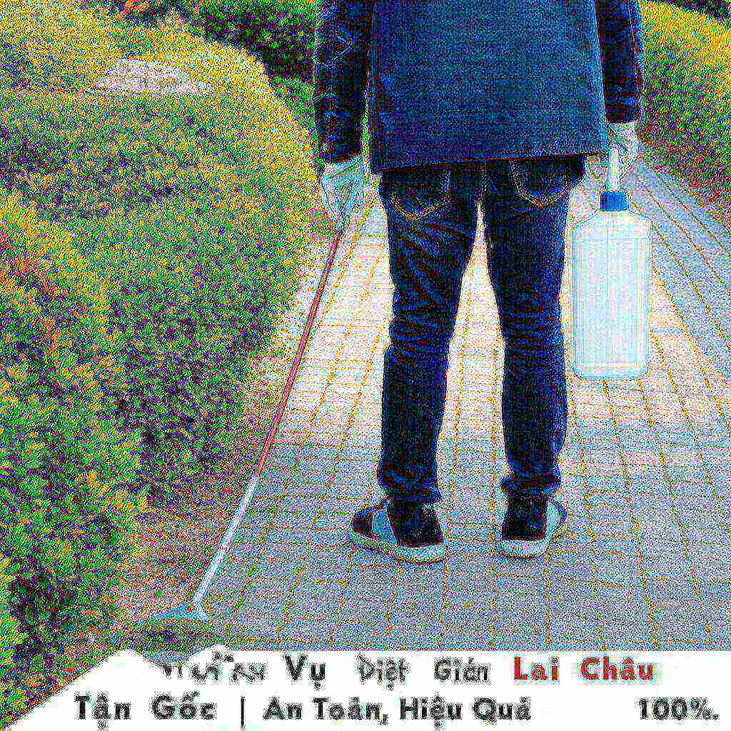 Hình minh họa cho bài viết: Dịch Vụ Diệt Gián Lai Châu Tận Gốc | An Toàn, Hiệu Quả 100%