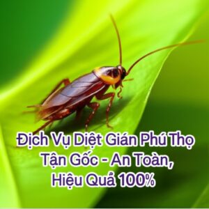 Dịch Vụ Diệt Gián Phú Thọ Tận Gốc – An Toàn, Hiệu Quả 100%