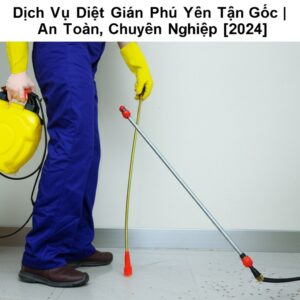 Dịch Vụ Diệt Gián Phú Yên Tận Gốc | An Toàn, Chuyên Nghiệp [2024]