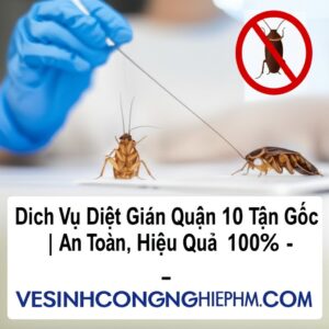 Dịch Vụ Diệt Gián Quận 10 Tận Gốc | An Toàn, Hiệu Quả 100% – VESINHCONGNGHIEPHCM.COM