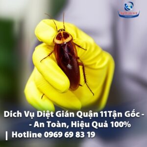 Dịch Vụ Diệt Gián Quận 11 Tận Gốc – An Toàn, Hiệu Quả 100% | Hotline 0969 69 83 19