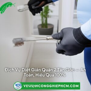 Dịch Vụ Diệt Gián Quận 2 Tận Gốc – An Toàn, Hiệu Quả 100% | VESINHCONGNGHIEPHCM.COM