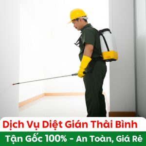Dịch Vụ Diệt Gián Thái Bình Tận Gốc 100% – An Toàn, Giá Rẻ