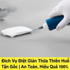 Dịch Vụ Diệt Gián Thừa Thiên Huế Tận Gốc | An Toàn, Hiệu Quả 100%