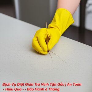Dịch Vụ Diệt Gián Trà Vinh Tận Gốc | An Toàn – Hiệu Quả – Bảo Hành 6 Tháng