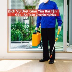 Dịch Vụ Diệt Gián Yên Bái Tận Gốc – An Toàn, Chuyên Nghiệp