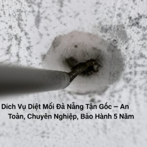 Dịch Vụ Diệt Mối Đà Nẵng Tận Gốc – An Toàn, Chuyên Nghiệp, Bảo Hành 5 Năm