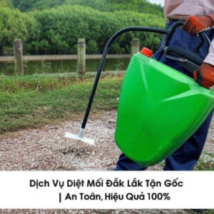Dịch Vụ Diệt Mối Đắk Lắk Tận Gốc | An Toàn, Hiệu Quả 100%